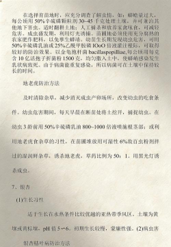 家庭养花用生根粉