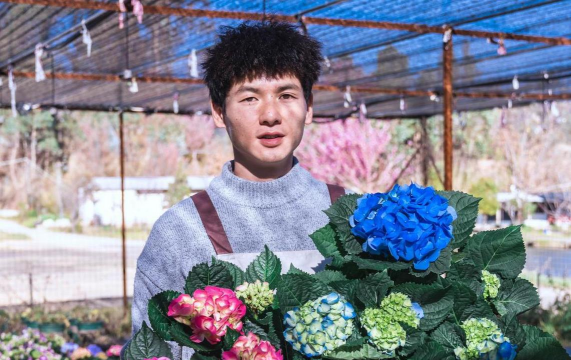 家庭养花用生根粉