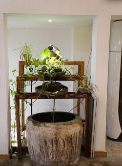 家庭养花用生根粉