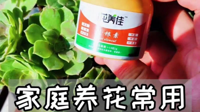 家庭养花用生根粉