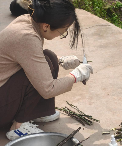 家庭养花用生根粉