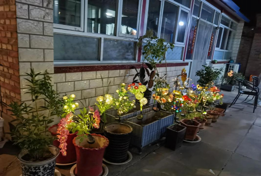 家庭养花用生根粉