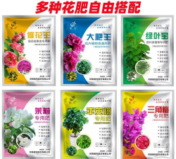 家庭养花用生根粉