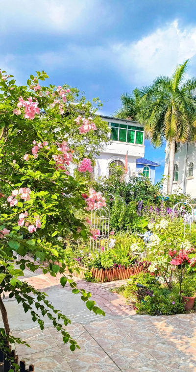 花仙子花园养花