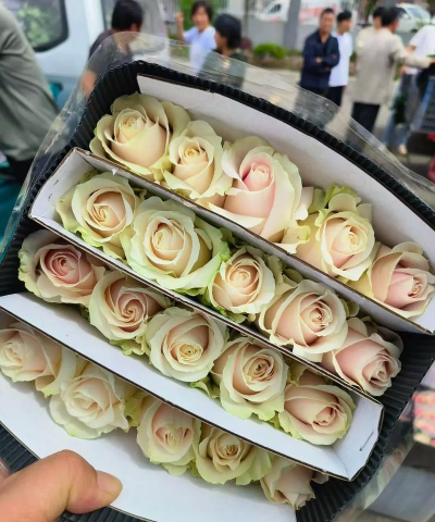 云南鲜花批发如何入驻