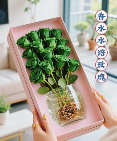 家庭养花用生根粉