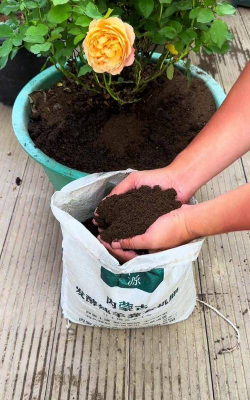 家庭养花用生根粉