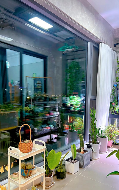 家庭养花用生根粉