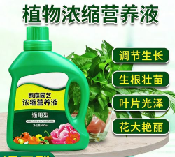 家庭养花用生根粉