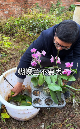 家庭养花用生根粉