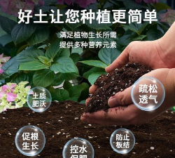 家庭养花用生根粉