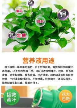 家庭养花用生根粉