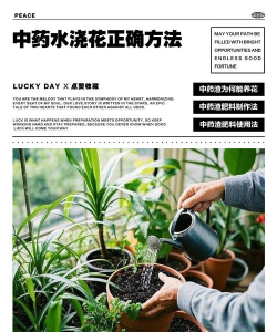 家庭养花用生根粉