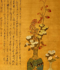 玫瑰花怎么养才不会枯萎，掌握浇水施肥技巧，轻松延长花期