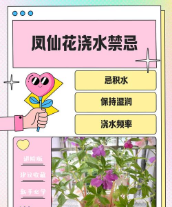 庭院景观绿化设计，打造舒适空间，提升生活品质