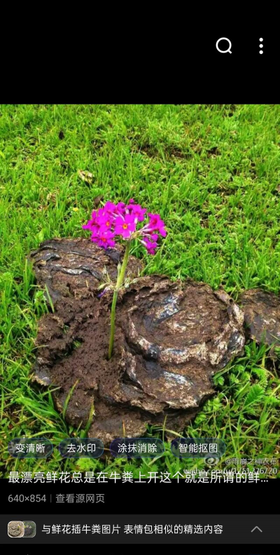 庭院景观绿化设计，打造舒适空间，提升生活品质