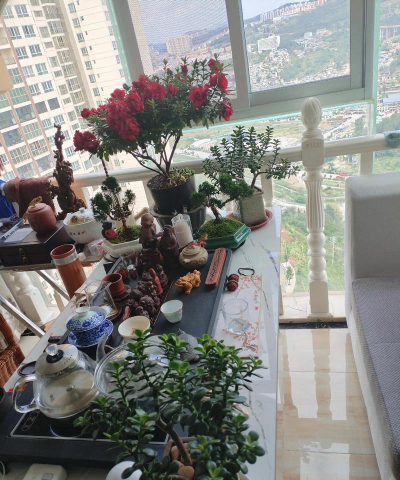 家庭养花用生根粉