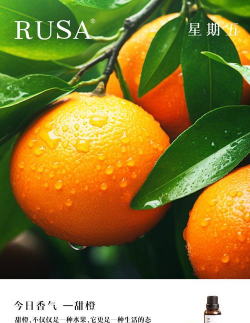 爱人如养花甜橙