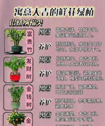 养花好运的说说