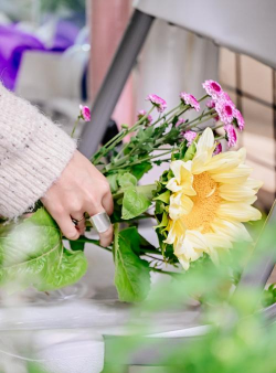 家庭养花用生根粉