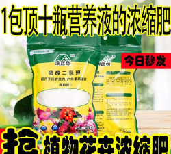 家庭养花用生根粉