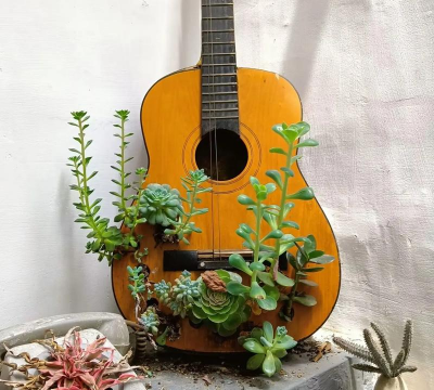 栽培的意思，核心概念，通俗理解