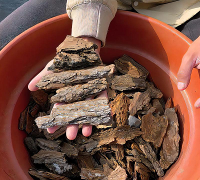 松树皮细碎养花