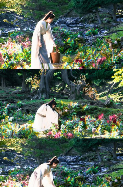 绿化景观设计，提升环境品质，创造宜人空间