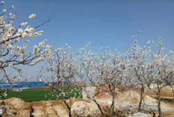 绿化景观设计，提升环境品质，创造宜人空间