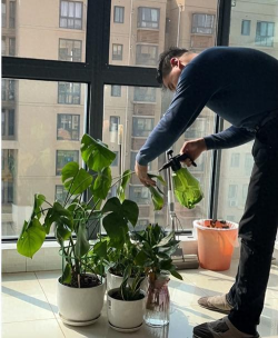 绿化景观设计，提升环境品质，创造宜人空间