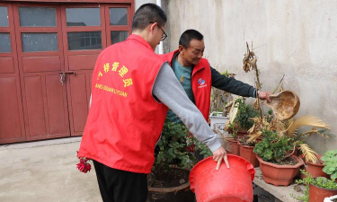 家庭养花用生根粉