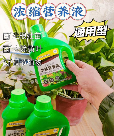 家庭养花用生根粉