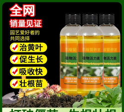 家庭养花用生根粉