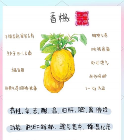 香橼做养花养料