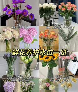 葡萄栽培，掌握关键技术，实现优质丰产