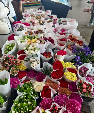 云南鲜花怎么带