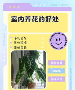 葡萄栽培，掌握关键技术，实现优质丰产