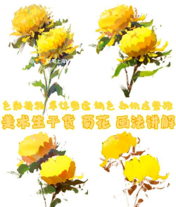 鲜花菊花怎么染色