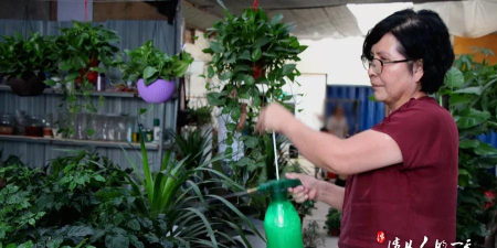 家庭养花用生根粉