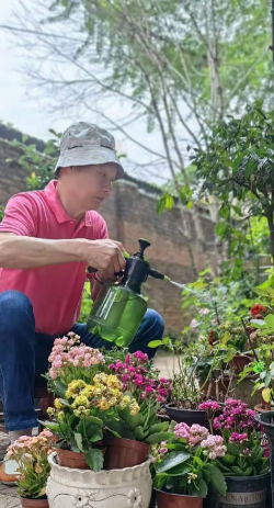 家庭养花用生根粉