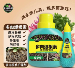 家庭养花用生根粉