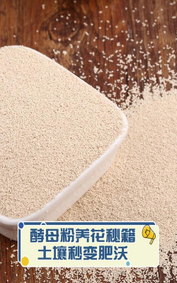 家庭养花用生根粉