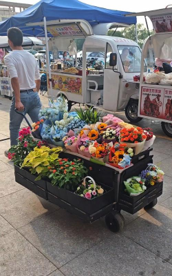 家庭养花用生根粉