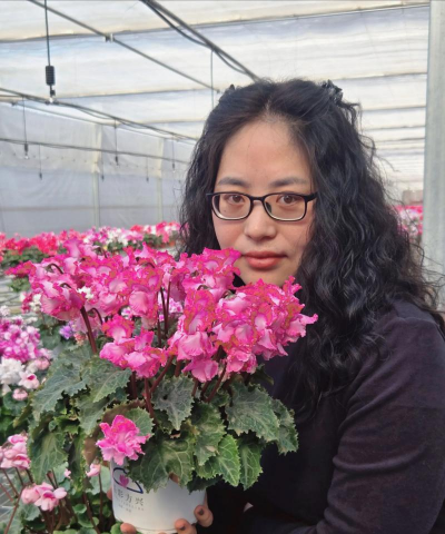 家庭养花用生根粉