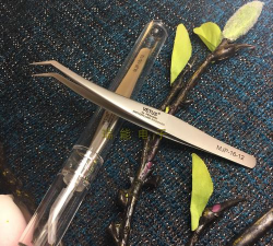 日本进口镊子养花