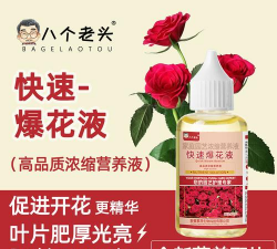 家庭养花用生根粉