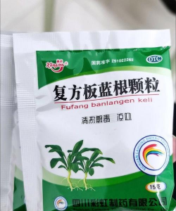 复方板蓝根颗粒养花