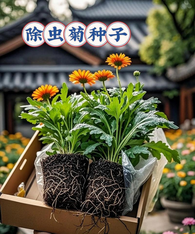 加拿大养花驱虫