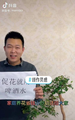 家庭养花用生根粉