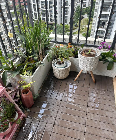 家庭养花用生根粉